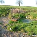 Les-Bizots_Alain-Desbrosse_Mars07_26.jpg
