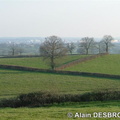 Les-Bizots_Alain-Desbrosse_Mars07_30.jpg