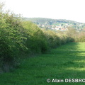 Epinac_92_Alain-Desbrosse_7.JPG