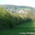 Epinac_92_Alain-Desbrosse_8.JPG